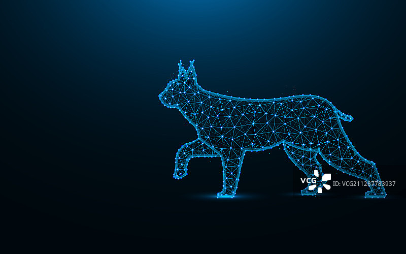 低多边形猞猁设计野生猫线框网格图片素材