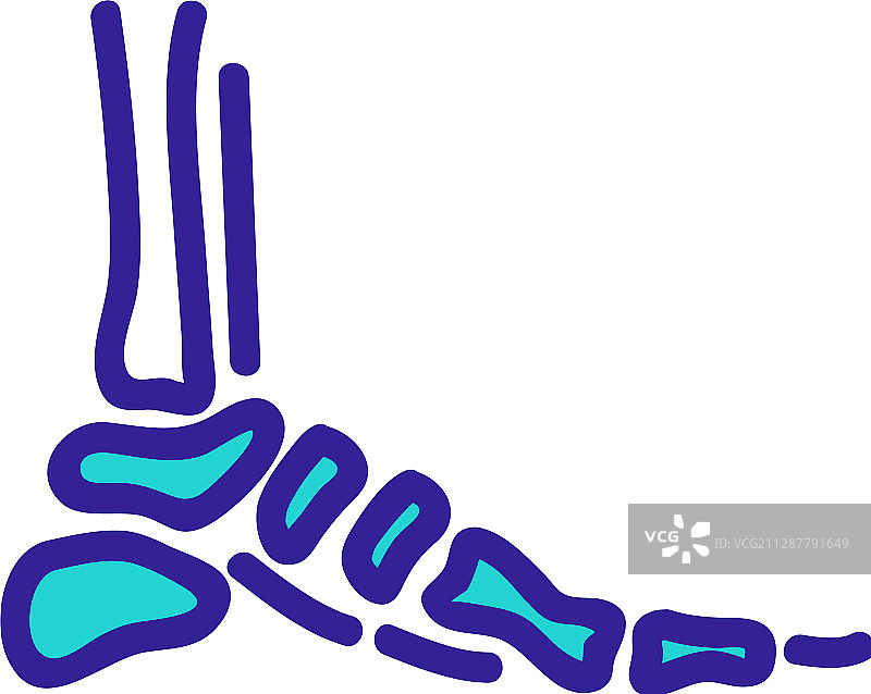 足部骨骼轮廓图标图片素材