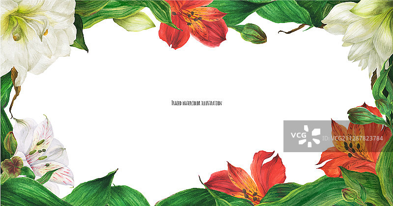 白色和红色百合花卉banner图片素材