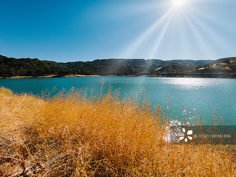 夏天的颜色 Color of Summer图片素材