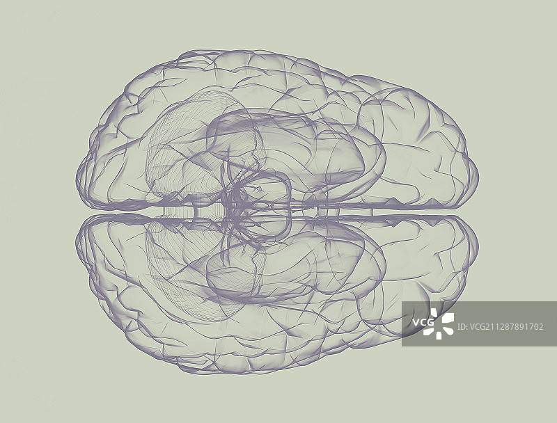 人类大脑、插图图片素材