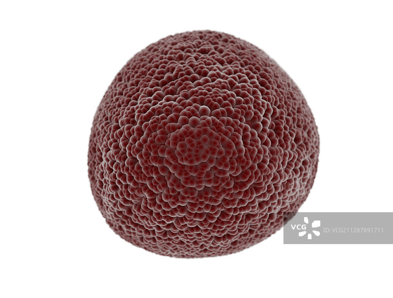 癌症细胞,说明图片素材