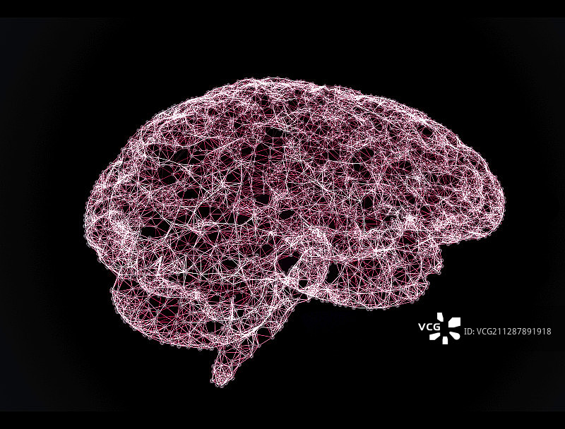 人类大脑、插图图片素材