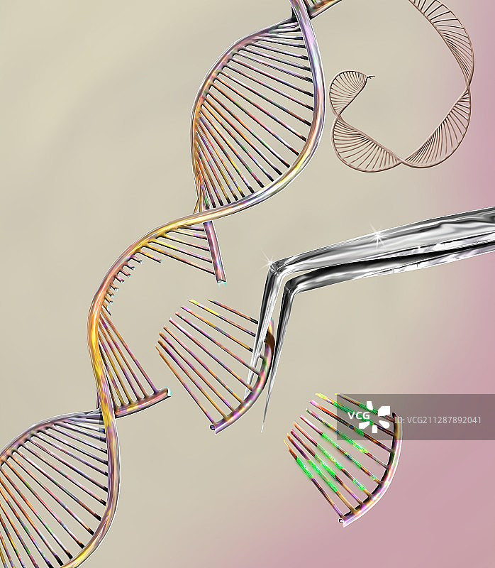 CRISPR基因编辑概念图图片素材