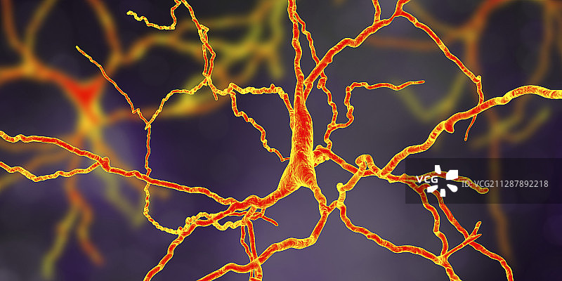 多巴胺能神经元示意图图片素材