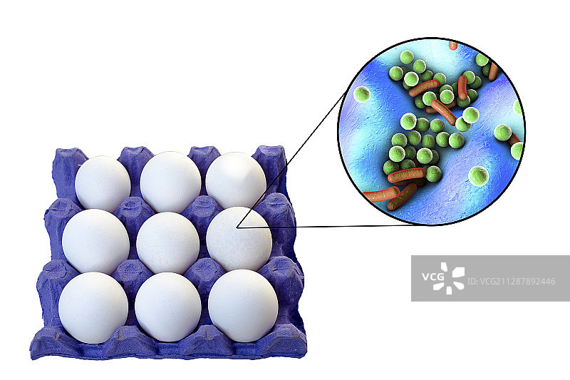 鸡蛋食物中毒概念图图片素材