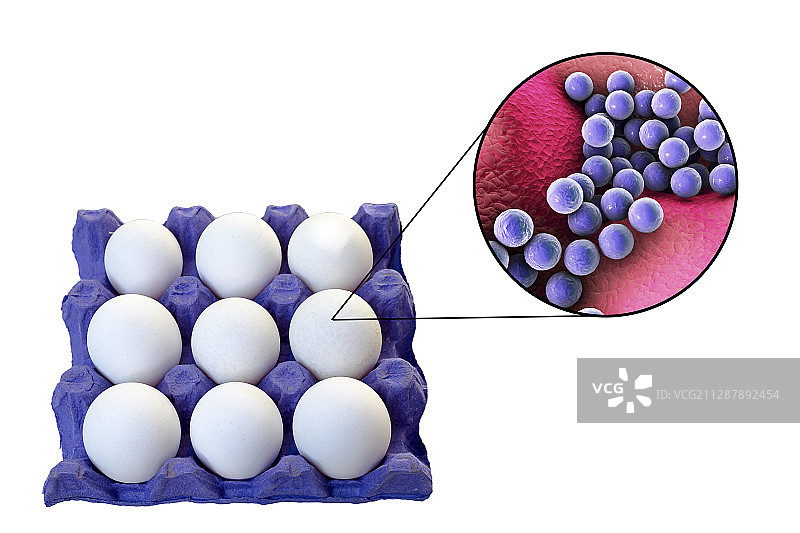 鸡蛋食物中毒概念图图片素材
