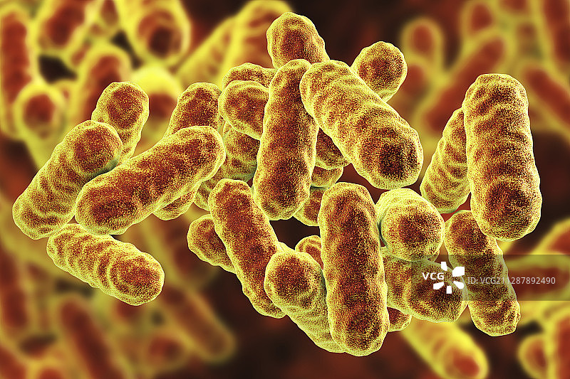 粘质沙雷氏菌细菌，图示图片素材