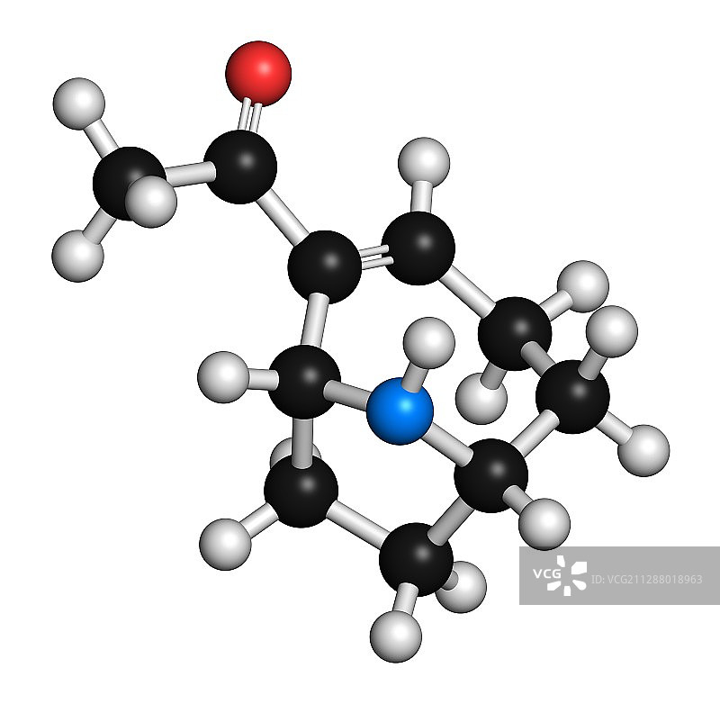 Anatoxin分子图片素材