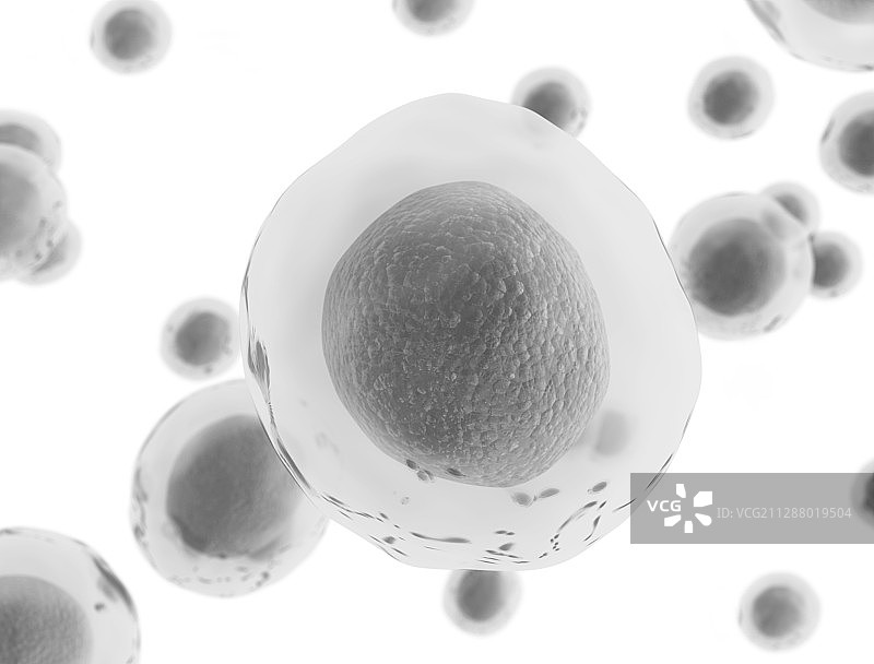 透明细胞插图图片素材