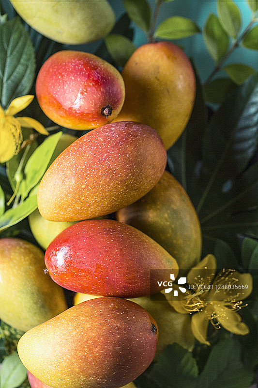 新鲜的水果芒果图片素材