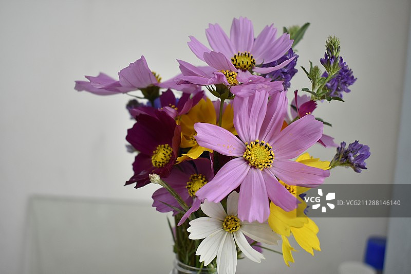 山上的野花摘回家做了个插花图片素材