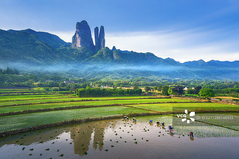 三爿石下插秧忙图片素材