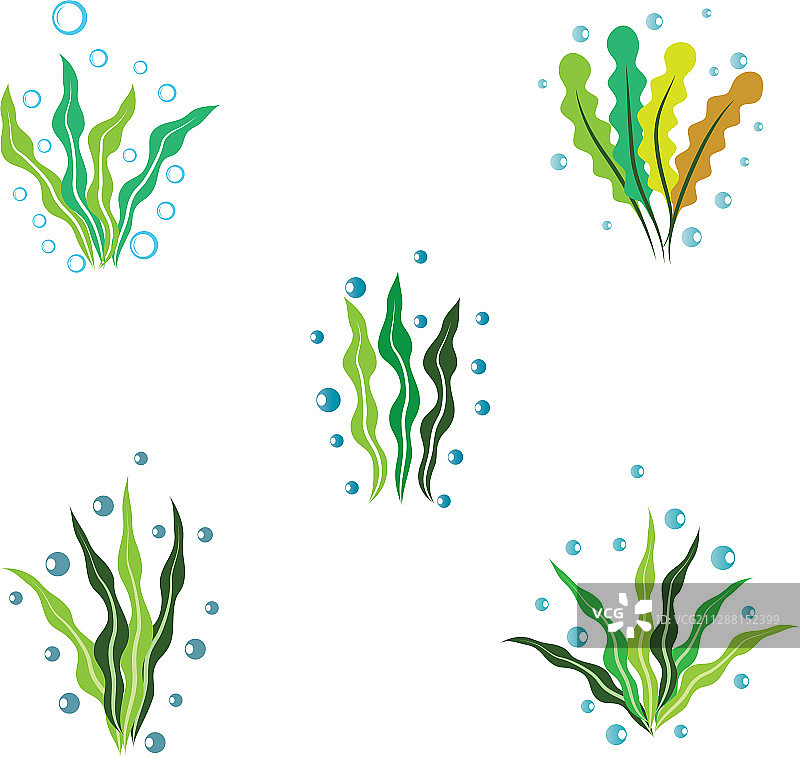 海藻Logo模版图标图片素材