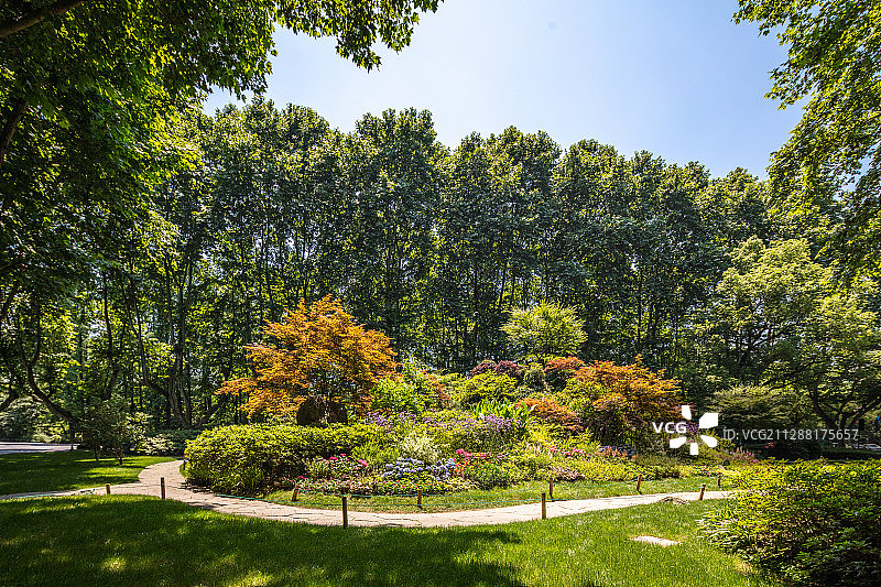 杭州植物园图片素材