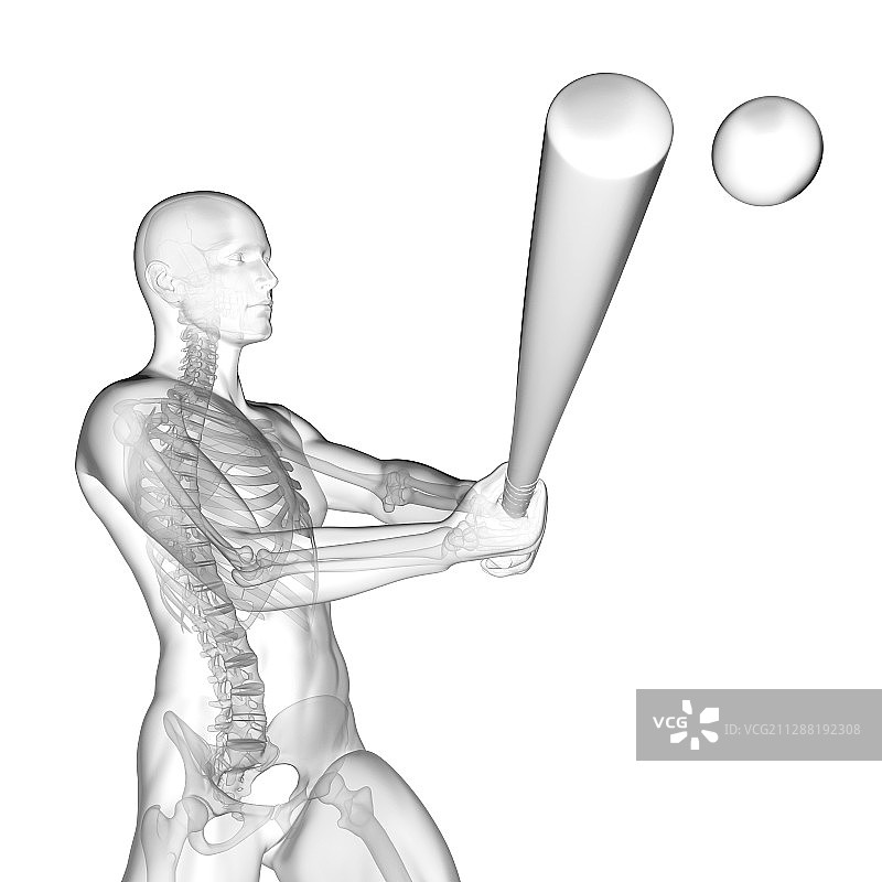 使用棒球棒的人体骨骼结构插图图片素材