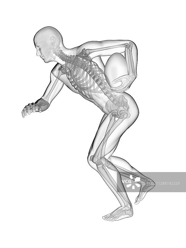 橄榄球运动员骨骼系统图图片素材