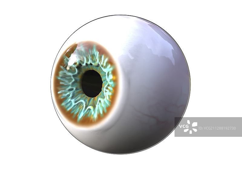 人眼插画图片素材