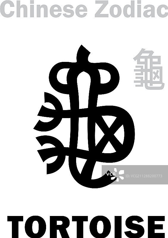 占星术龟中国十二生肖图片素材