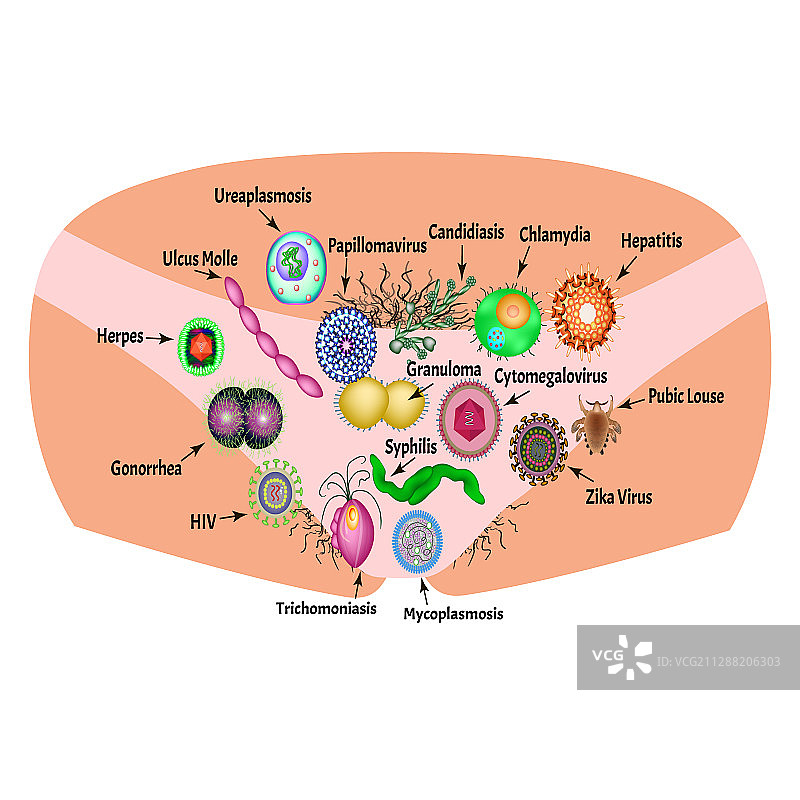 病毒和细菌感染图片素材
