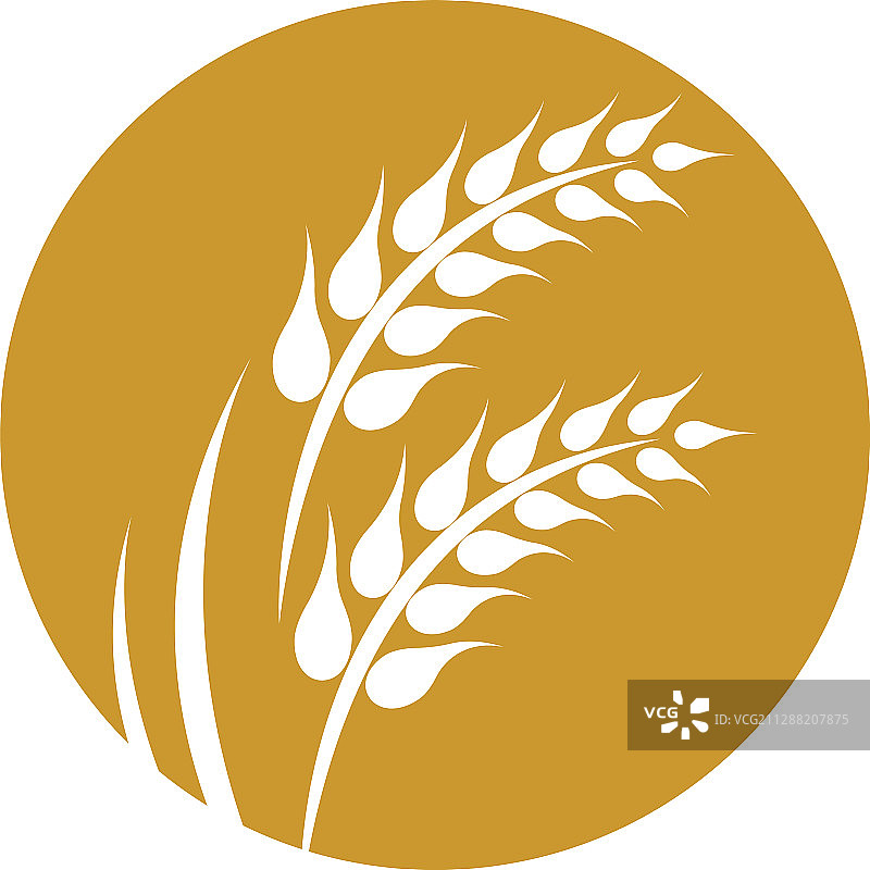 小麦Logo图标图片素材
