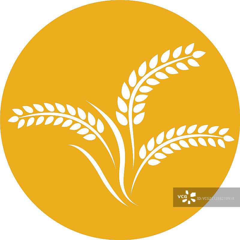 小麦Logo图标图片素材