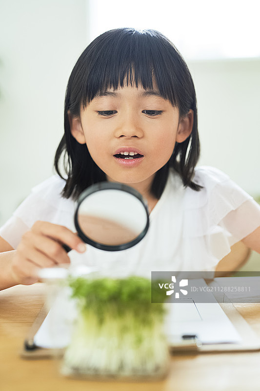 女孩学习图片素材