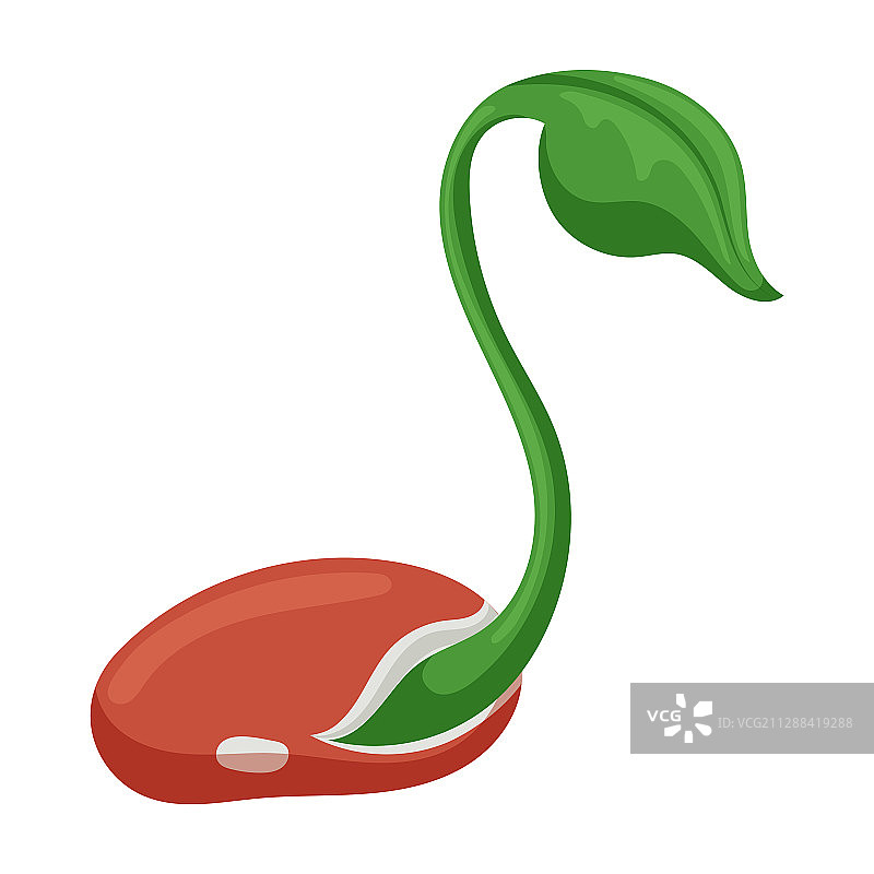 豆芽菜卡通图标图片素材