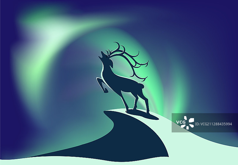 北极光 02图片素材