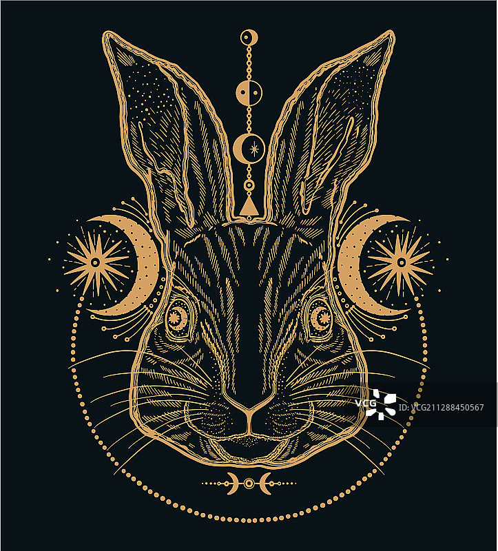 兔子动物魔法金色线条画图片素材