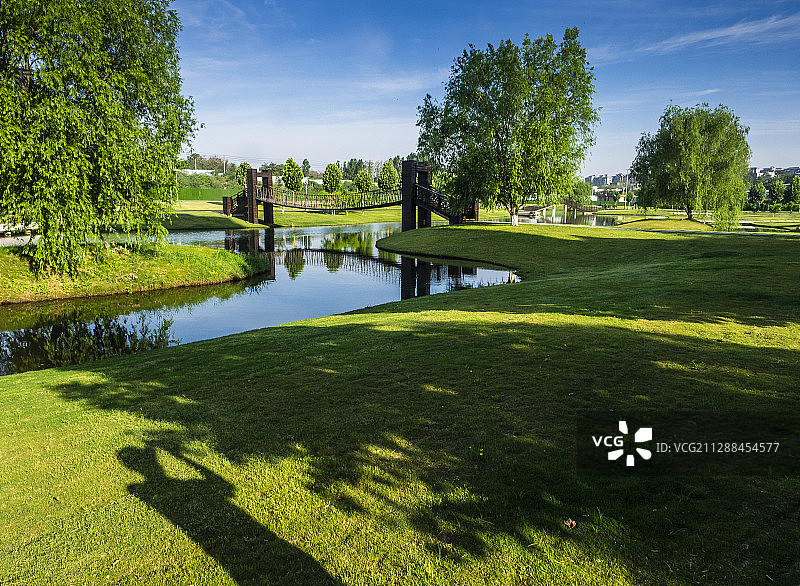 河畔草地图片素材