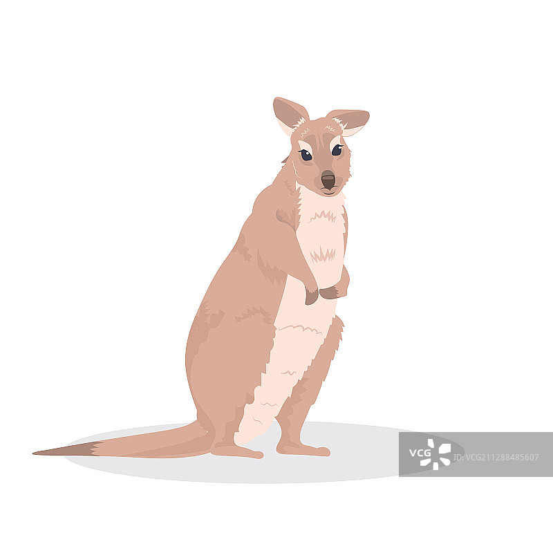 卡通濒危野生袋鼠或小袋鼠图标图片素材