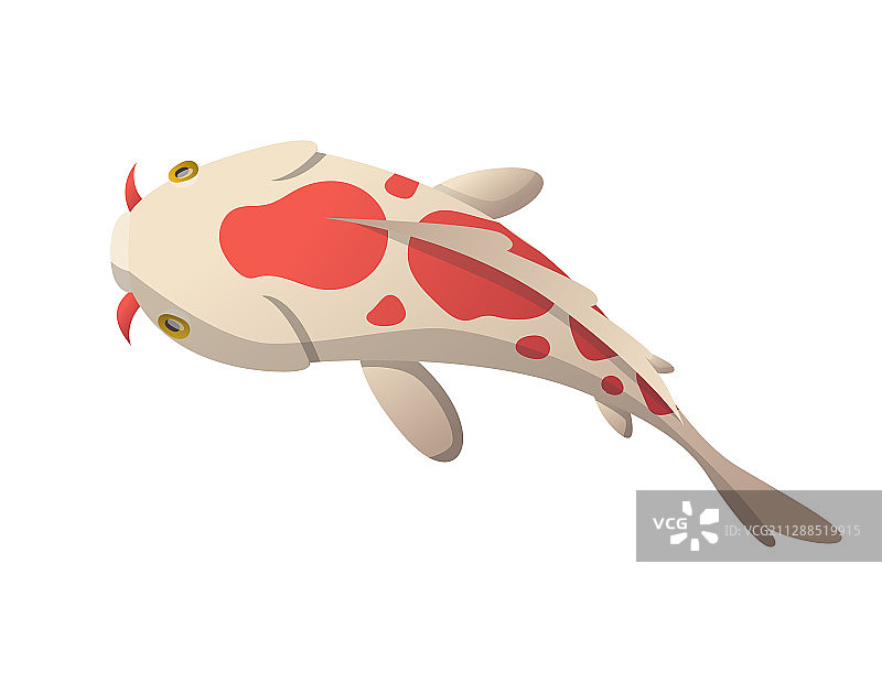 平静游动的锦鲤图片素材