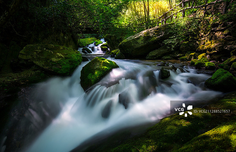 今年林间优雅闲静，来年山涧流水依旧，没有谁能阻止季节更迭的脚图片素材
