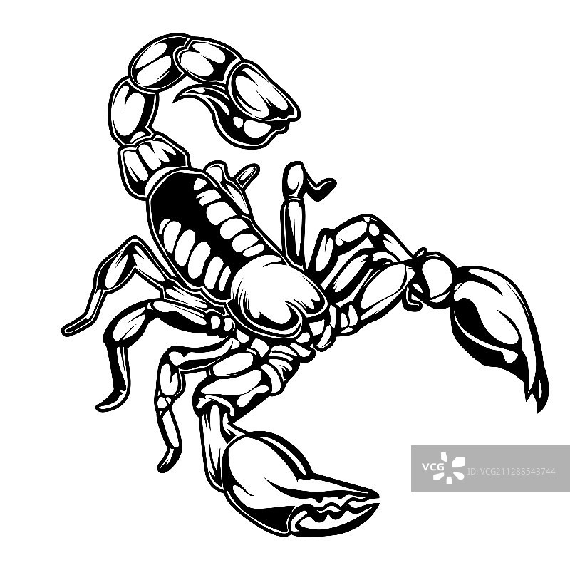 蝎子图案logo 02图片素材