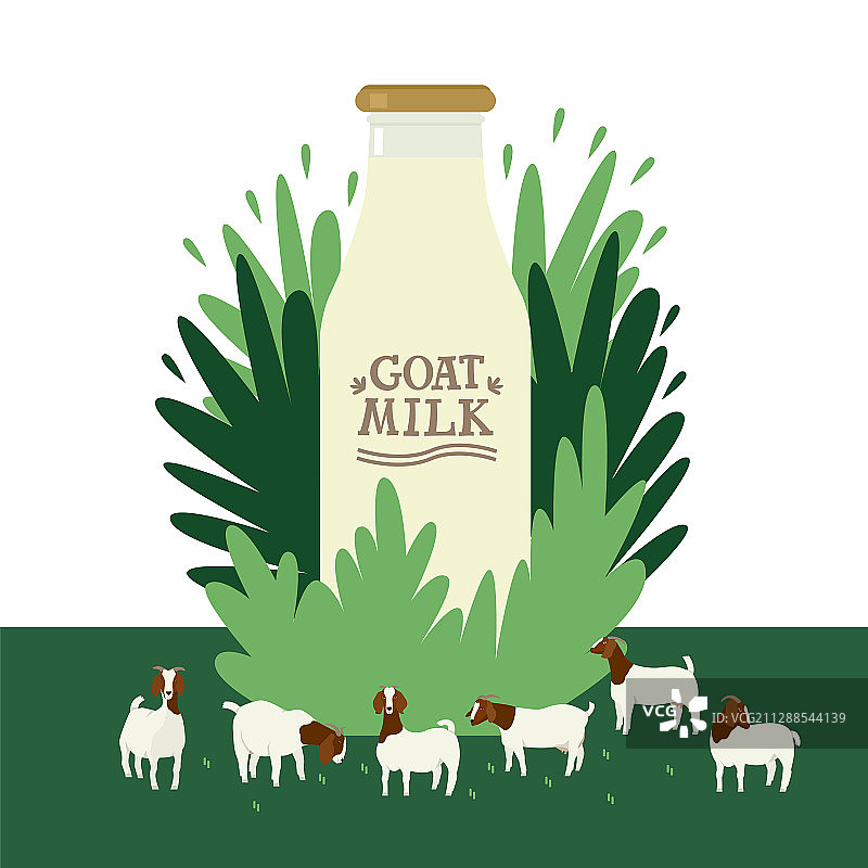 今日农场：花卉背景上的牛奶瓶图片素材