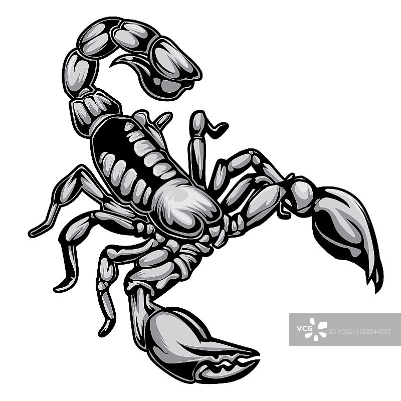 蝎子图案Logo 01图片素材