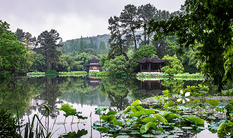 杭州西湖幽静的荷叶和池塘图片素材