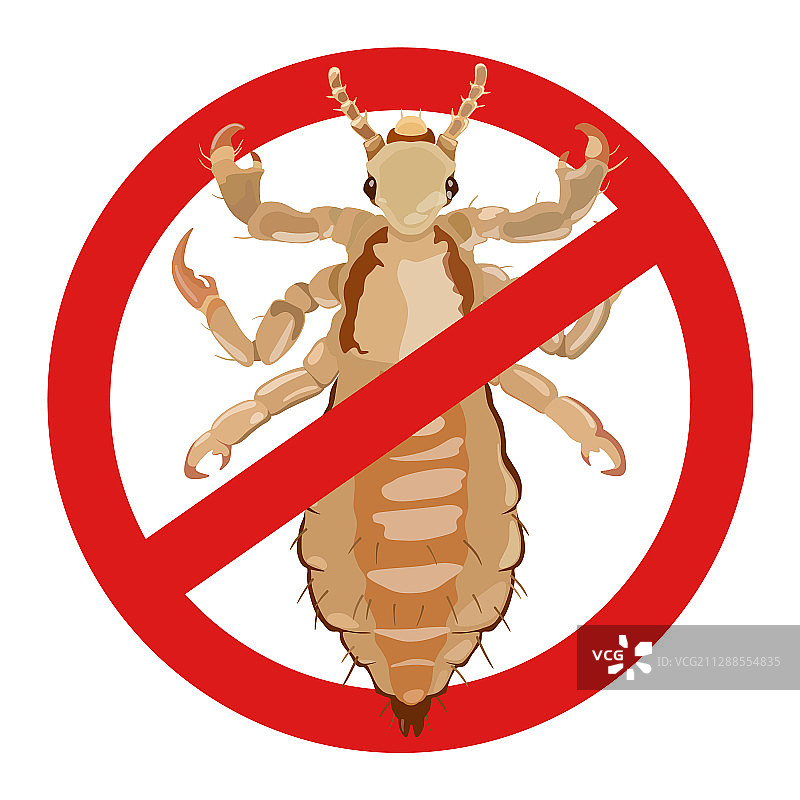 昆虫危险警告虱子标志图片素材
