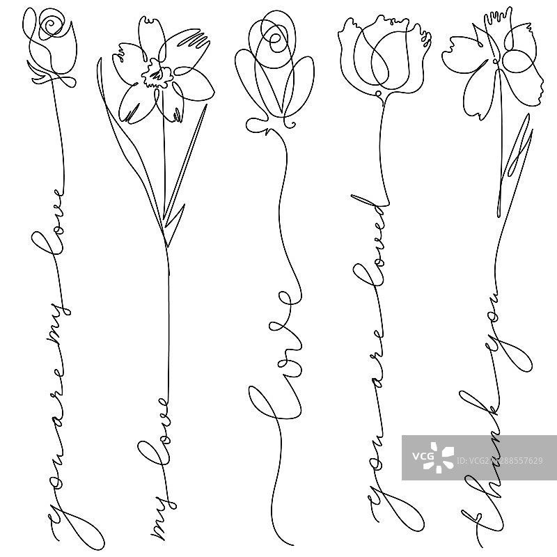 花卉字母线条艺术组合图片素材