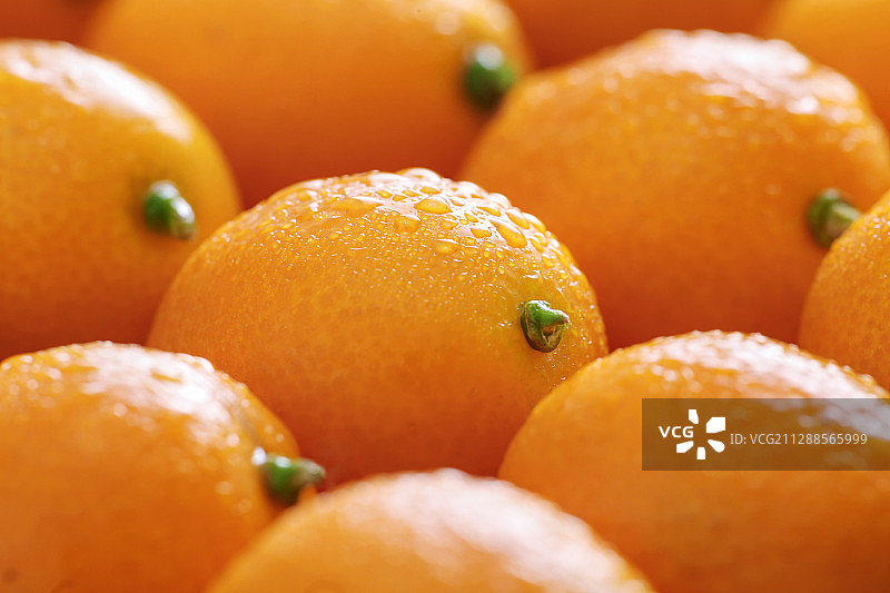 新鲜的金橘图片素材