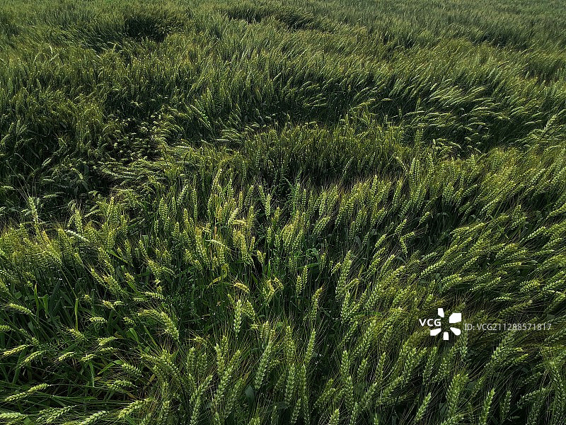 风雨过后图片素材