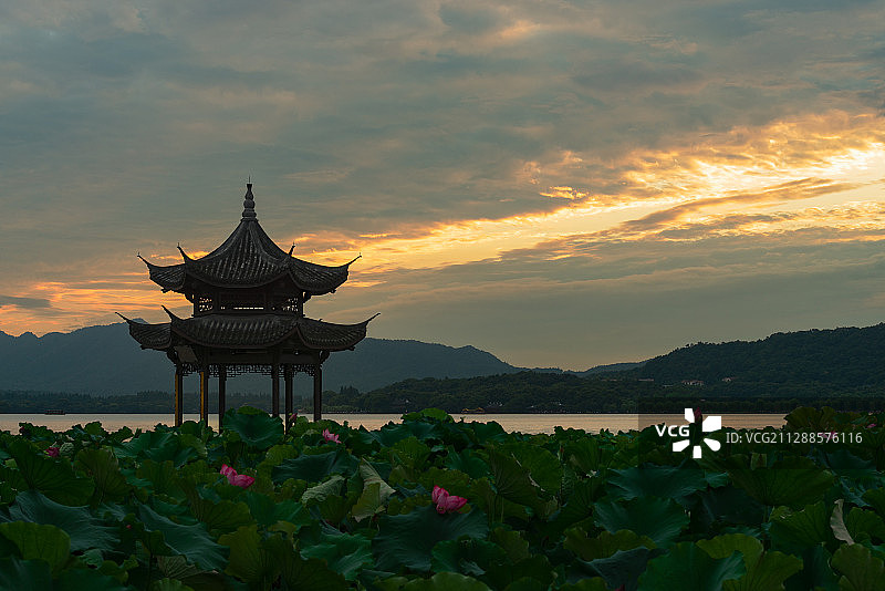 浙江杭州西湖钱塘江雷峰塔曲院风荷奥体中心体育场亚运会大运河荷图片素材