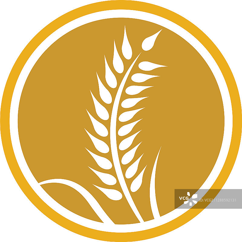 小麦Logo图标图片素材