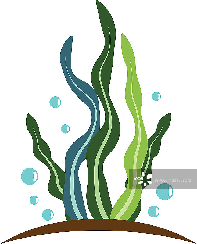 海藻Logo模版图标图片素材