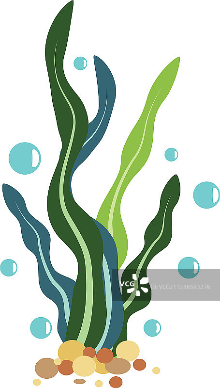 海藻Logo模版图标图片素材