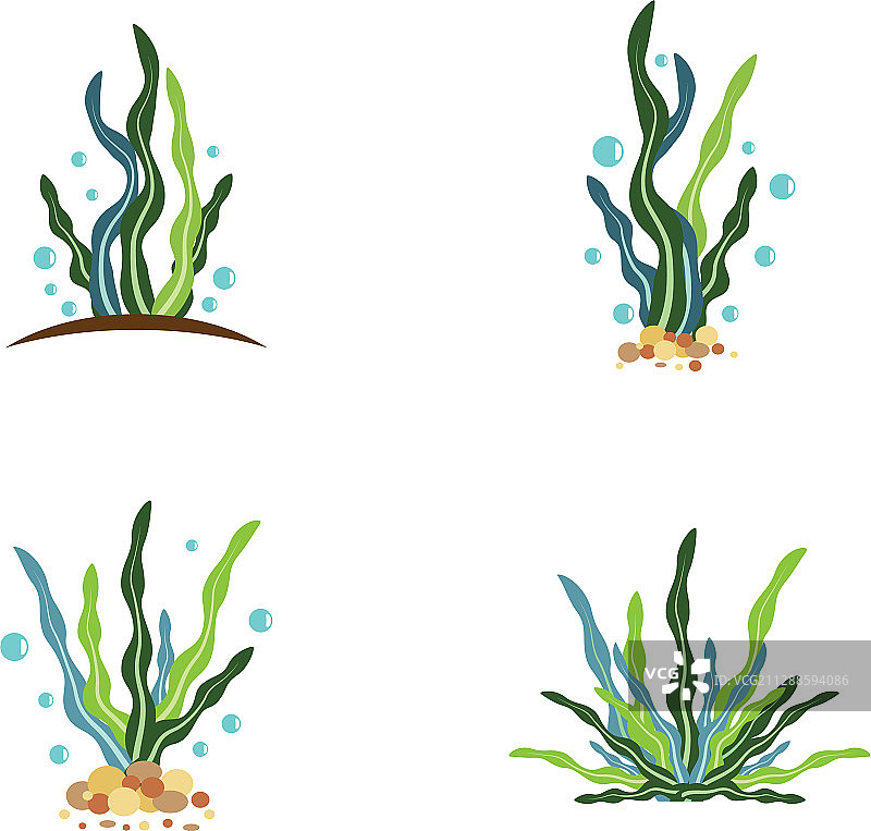 海藻Logo模版图标图片素材