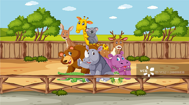 动物园里的野生动物图片素材