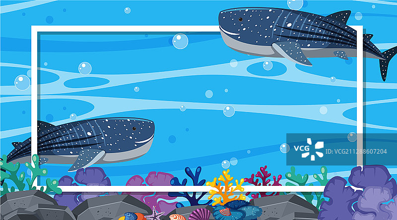 鲸鲨畅游边框设计图片素材