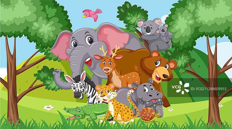 森林野生动物场景图片素材